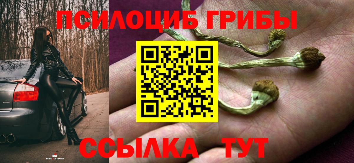 Галлюциногенные грибы GOLDEN TEACHER  Псилоцибиновые грибы GOLDEN TEACHER  Вход с VPN  Муром 