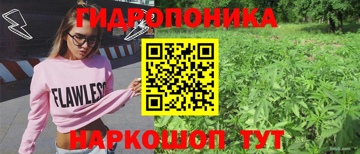 Канабис ГИДРОПОН Муром